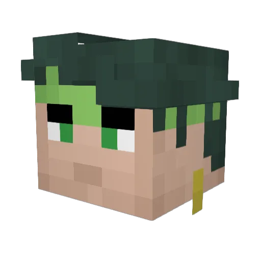 bxn122 Minecraft avatar head, 3D render