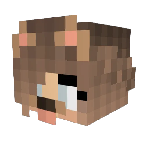 bxna Minecraft avatar head, 3D render