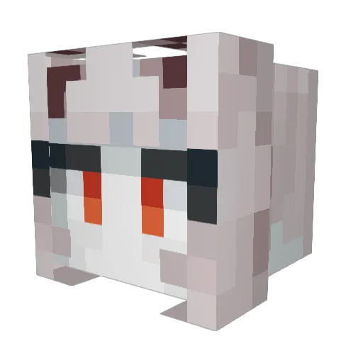 bxnny4eva Minecraft avatar head, 3D render