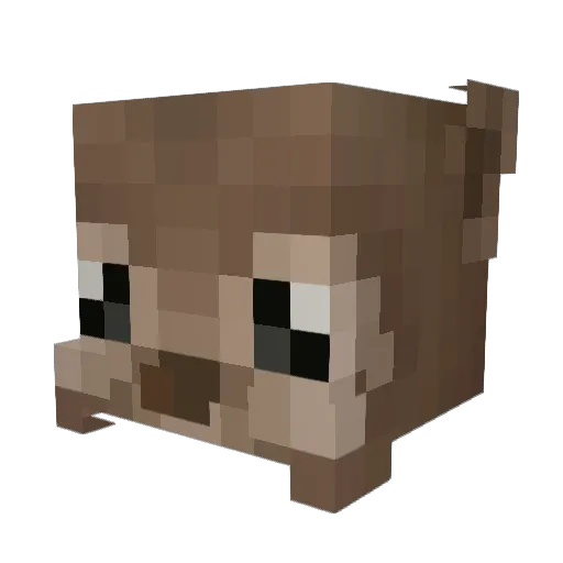 bxnny914 Minecraft avatar head, 3D render