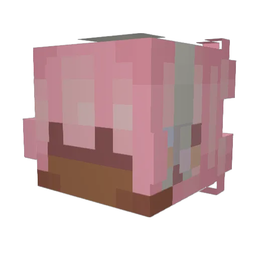 bxrgan Minecraft avatar head, 3D render