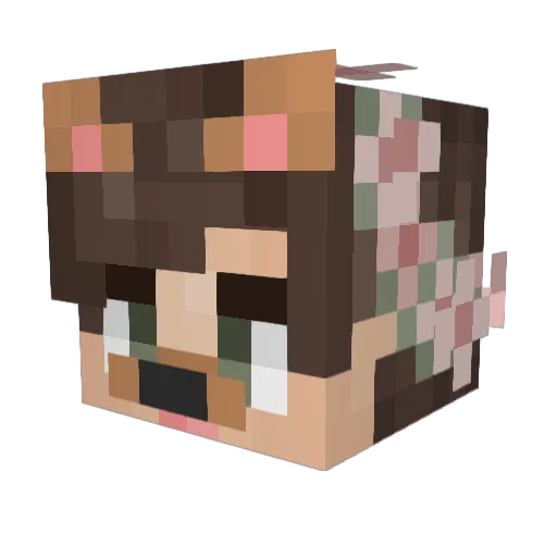 bxsicc Minecraft avatar head, 3D render
