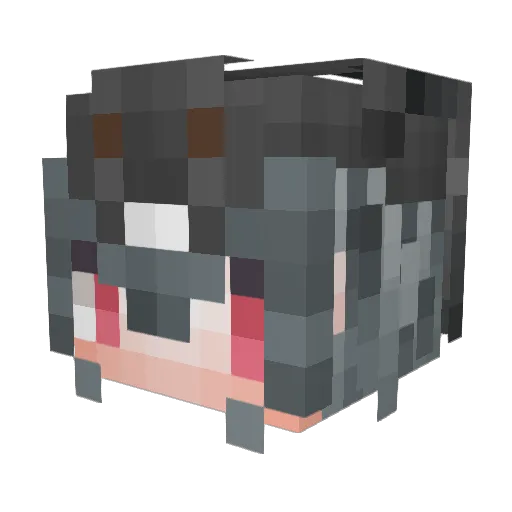 bxx2004 Minecraft avatar head, 3D render