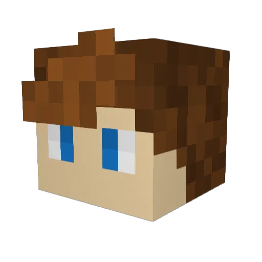 byNet_ Minecraft avatar head, 3D render