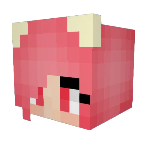 byNicole_ Minecraft avatar head, 3D render