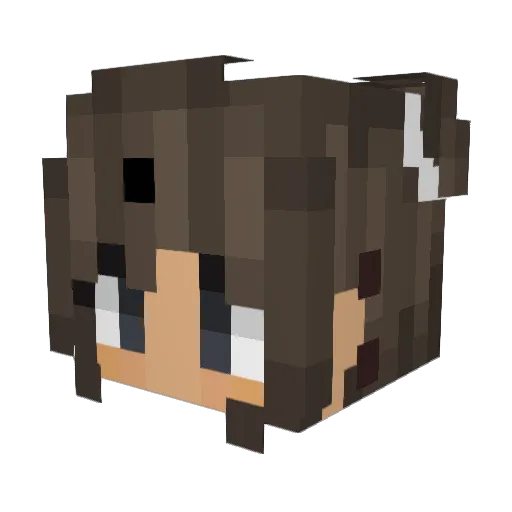 bySchrubber Minecraft avatar head, 3D render