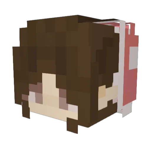 byebyefatcat Minecraft avatar head, 3D render