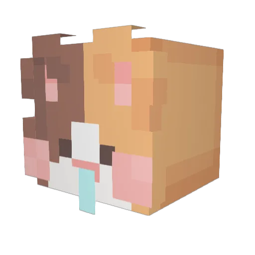 byeo_li Minecraft avatar head, 3D render