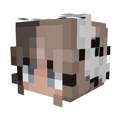 byrania Minecraft avatar head, 3D render