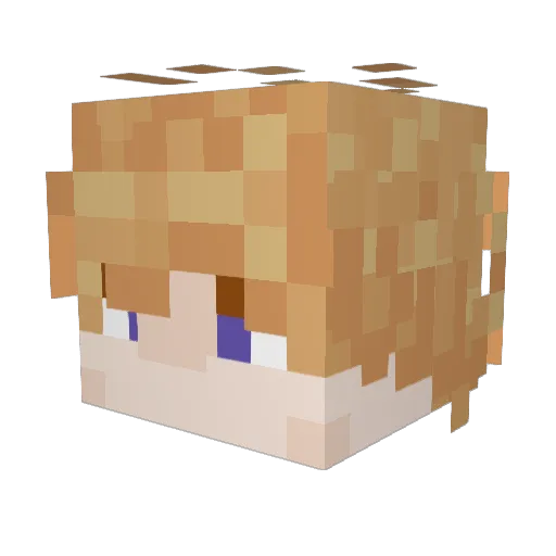 byrd007_ Minecraft avatar head, 3D render