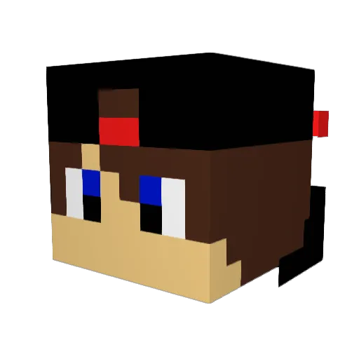 byrdd_ Minecraft avatar head, 3D render