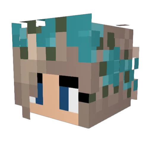 bytenetic Minecraft avatar head, 3D render