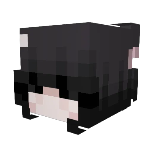 byxw Minecraft avatar head, 3D render