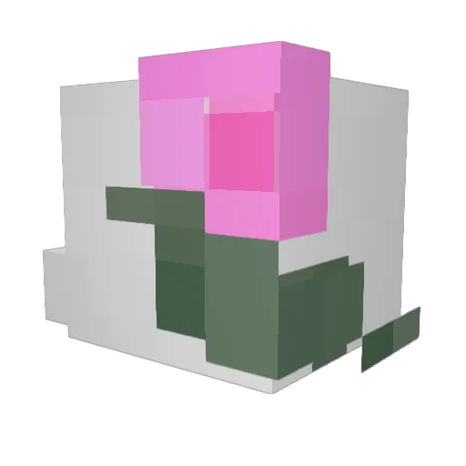 byyCoreys1 Minecraft avatar head, 3D render