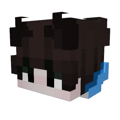 byyStormwfs Minecraft avatar head, 3D render