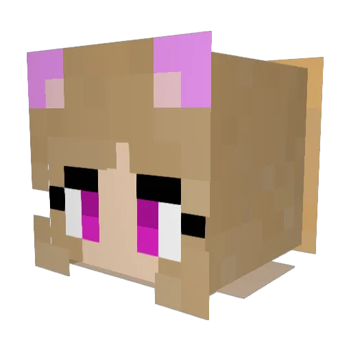 bzhlp09 Minecraft avatar head, 3D render