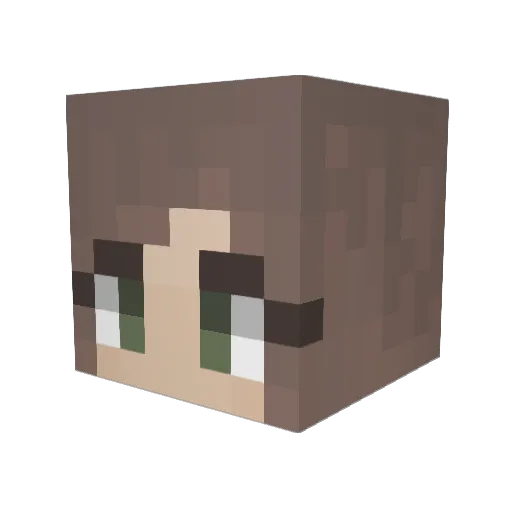 bzigus8 Minecraft avatar head, 3D render