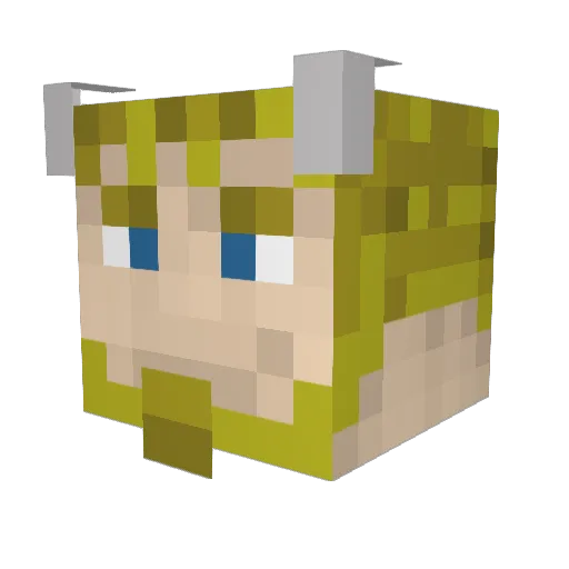 c00k13puss Minecraft avatar head, 3D render