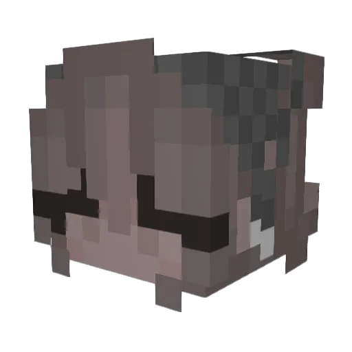 c00kes Minecraft avatar head, 3D render