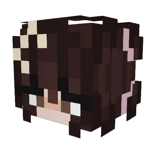 c00kieTimes Minecraft avatar head, 3D render