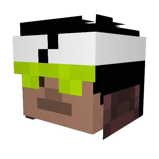c00lkidd_616 Minecraft avatar head, 3D render