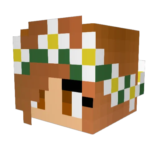 c00ru Minecraft avatar head, 3D render