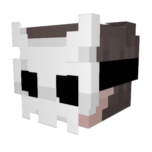 c0ckintheirass Minecraft avatar head, 3D render