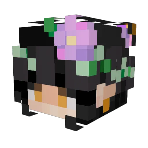 c0cse Minecraft avatar head, 3D render