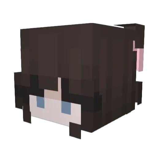 c0d3r_ Minecraft avatar head, 3D render