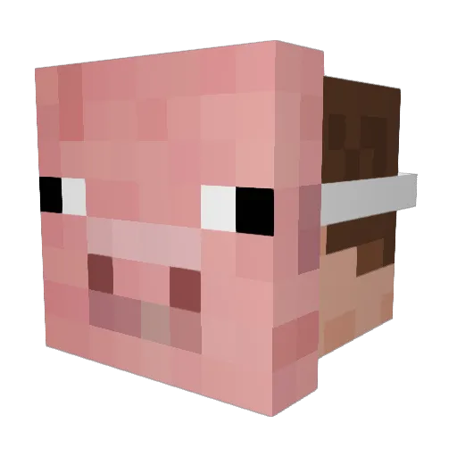c0d3rci0 Minecraft avatar head, 3D render