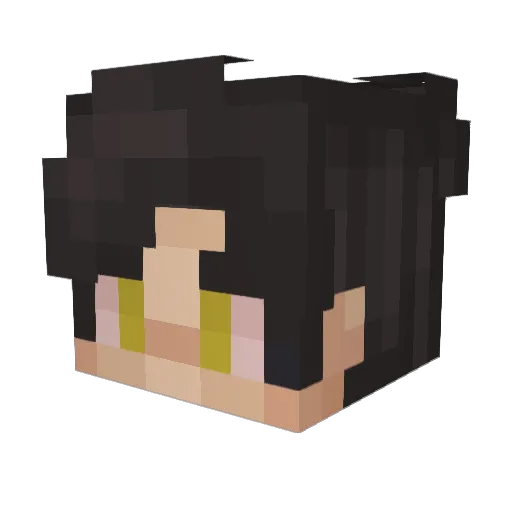 c0l1n12 Minecraft avatar head, 3D render