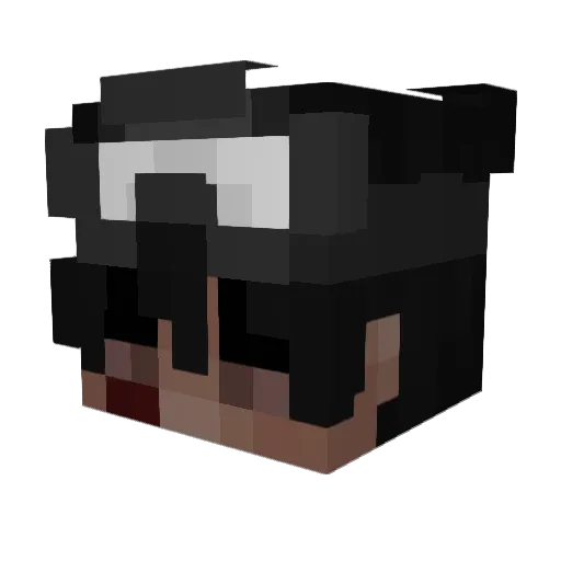 c0nfusedguy Minecraft avatar head, 3D render