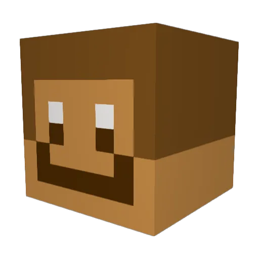 c0nnee Minecraft avatar head, 3D render