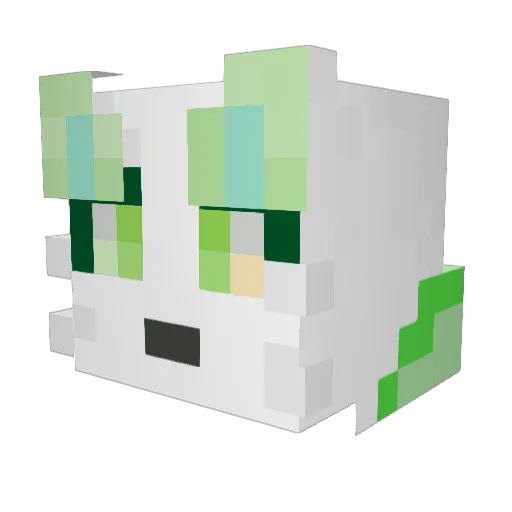 c0nnexi0n Minecraft avatar head, 3D render
