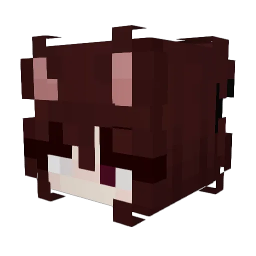 c0nyy Minecraft avatar head, 3D render