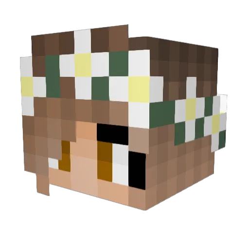 c0oKi3m0nStEr Minecraft avatar head, 3D render