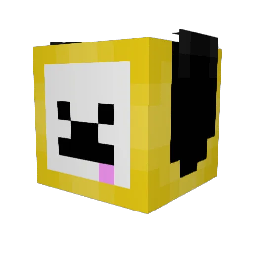 c0okie5 Minecraft avatar head, 3D render