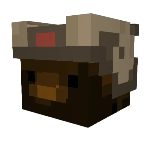 c0r0n4k47 Minecraft avatar head, 3D render