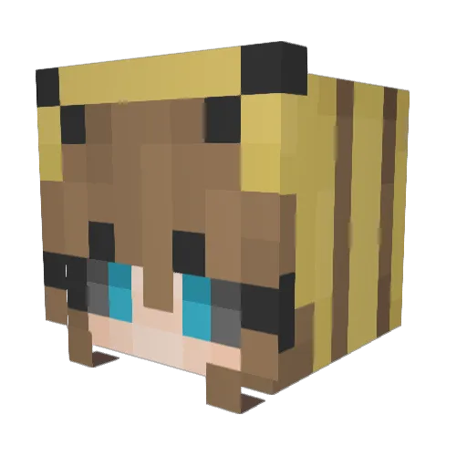 c0ughh Minecraft avatar head, 3D render