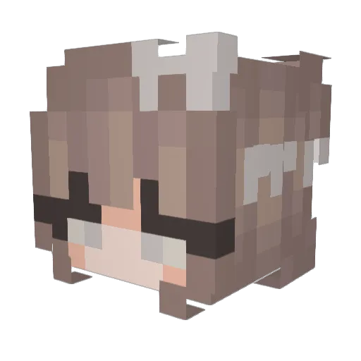 c1oey Minecraft avatar head, 3D render