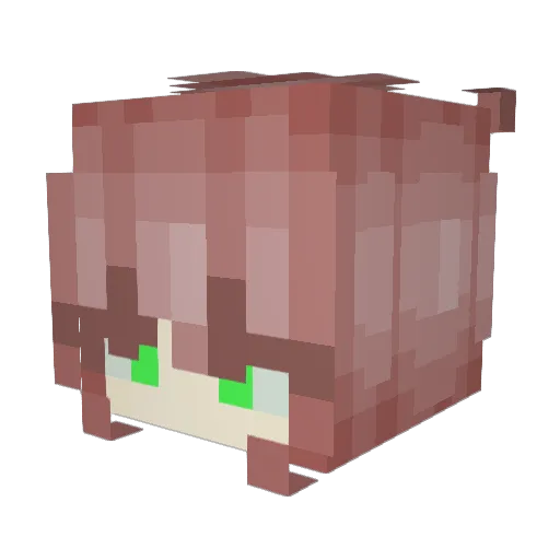 c1s2g3 Minecraft avatar head, 3D render