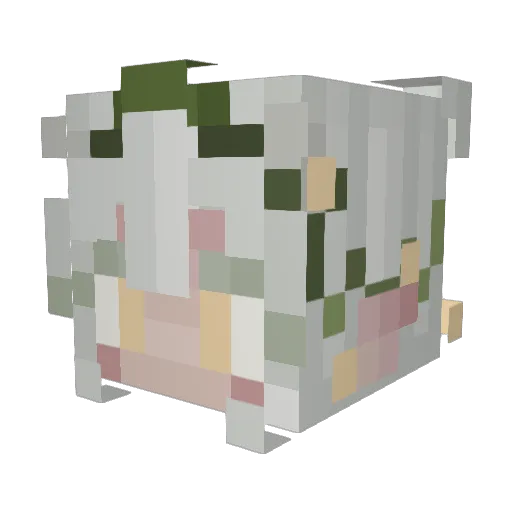 c1v9r Minecraft avatar head, 3D render