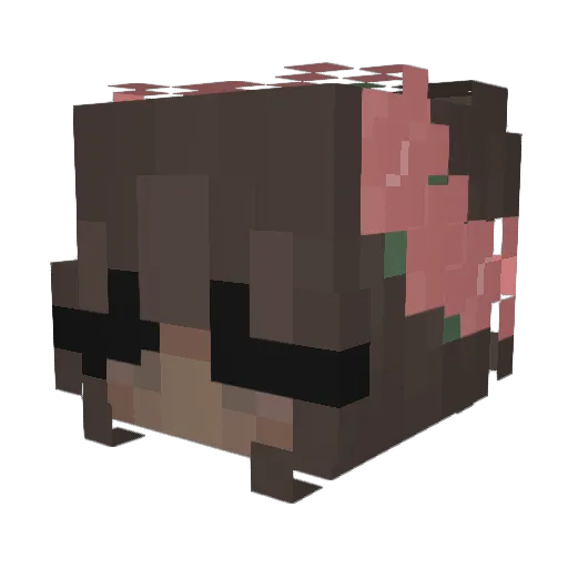 c2re Minecraft avatar head, 3D render