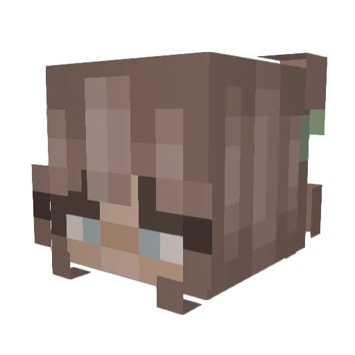 c2rts Minecraft avatar head, 3D render