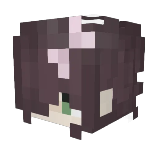 c2ss Minecraft avatar head, 3D render