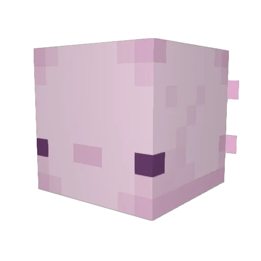 c44rly Minecraft avatar head, 3D render