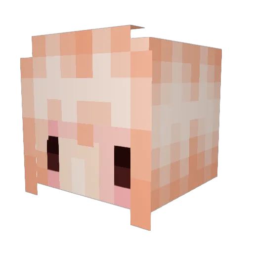 c4rding Minecraft avatar head, 3D render