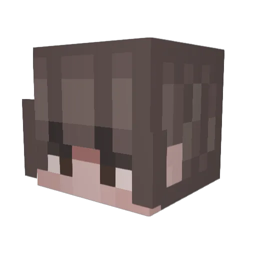 c4tb0y_ Minecraft avatar head, 3D render