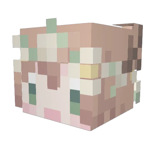 c4tl0ver Minecraft avatar head, 3D render