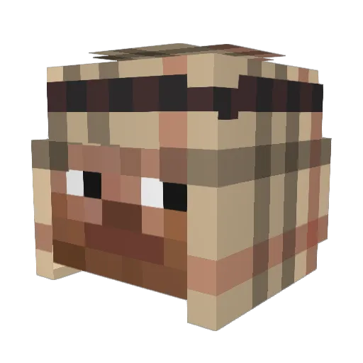 c4tvz Minecraft avatar head, 3D render